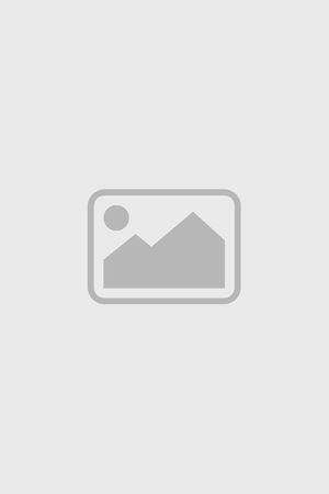 《喜羊羊与灰太狼之奇妙大营救》宣传海报